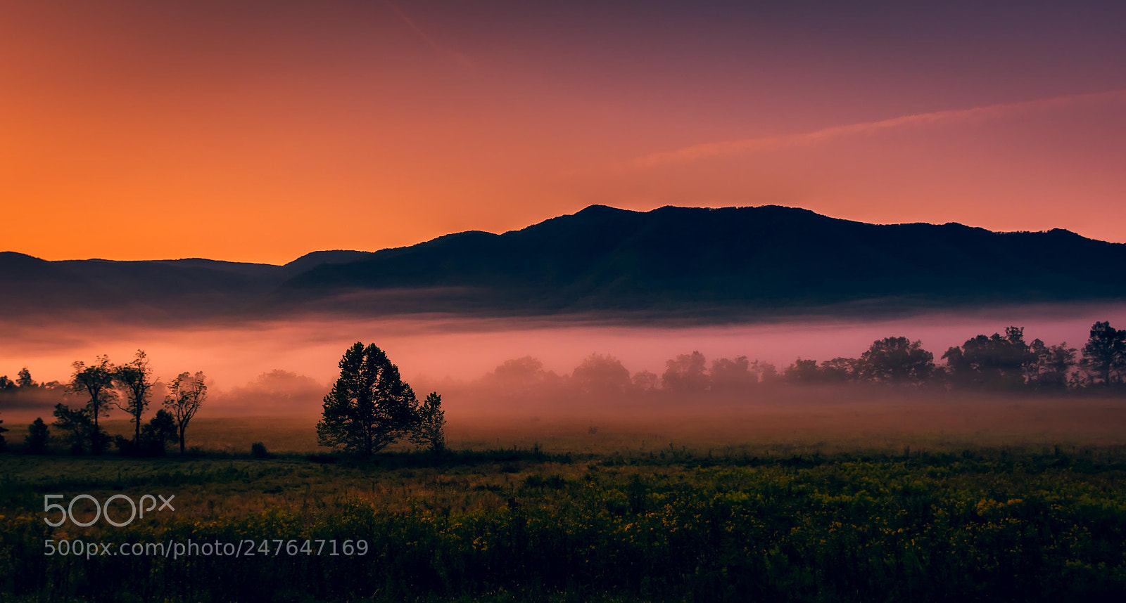 Nikon D7200 sample photo. Cades cove sunrise photography