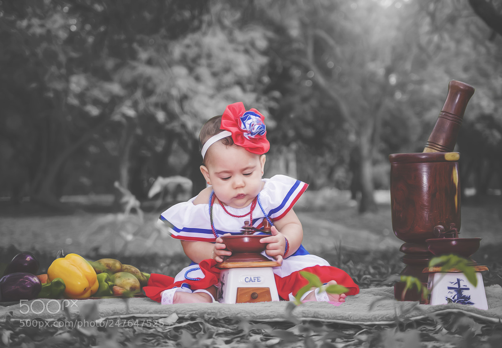 Nikon D3100 sample photo. Independence day dom. rep photography