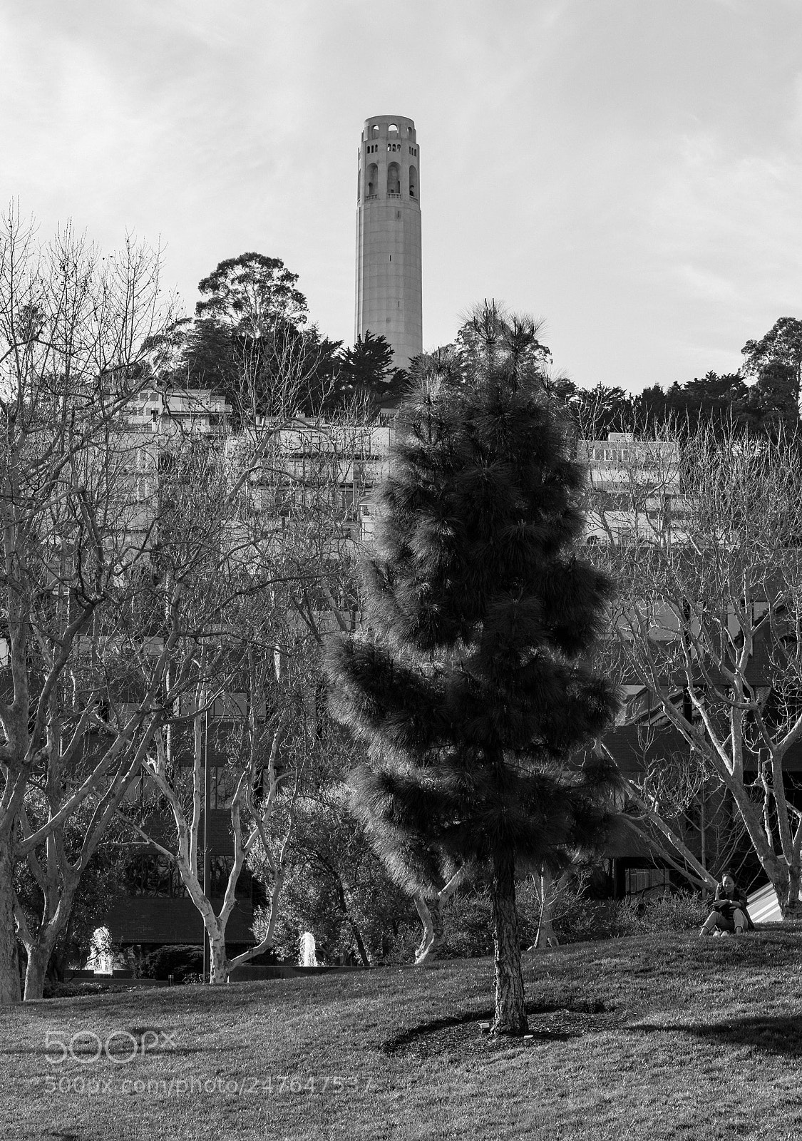 Nikon D7200 sample photo. “aspirations” san francisco, ca photography