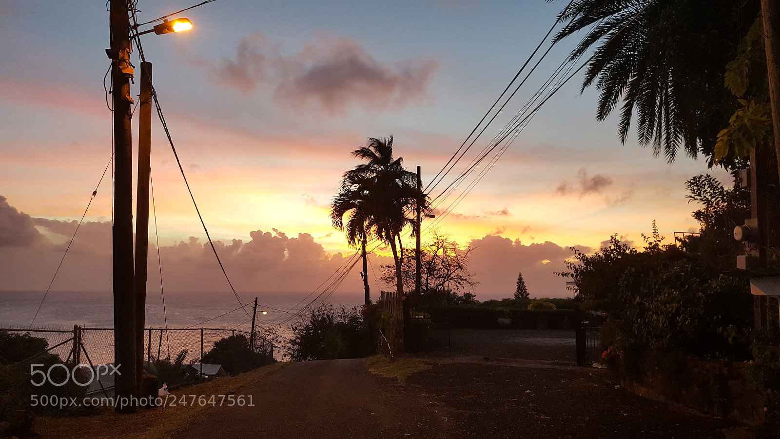 Samsung Galaxy Note5 sample photo. Untitled photography