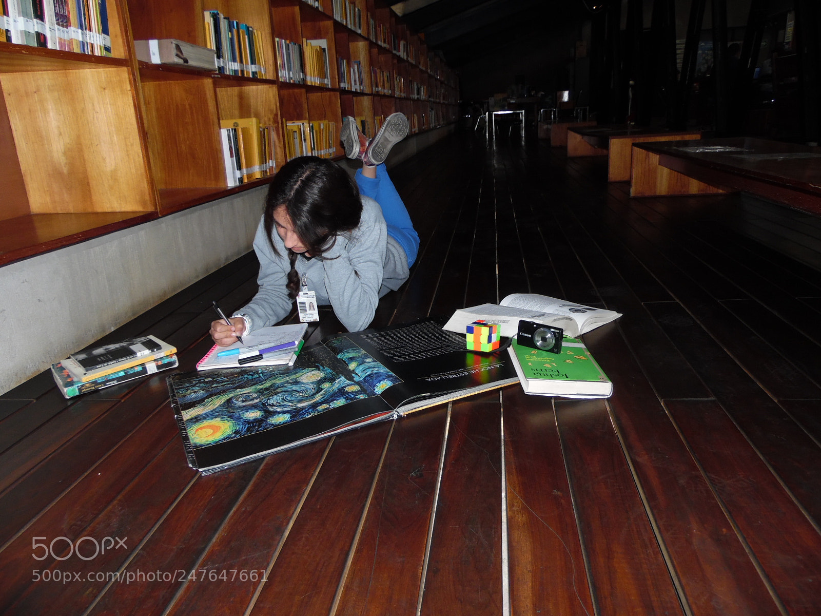 Samsung WB1100F/WB1101F/WB1102F sample photo. Between books... photography