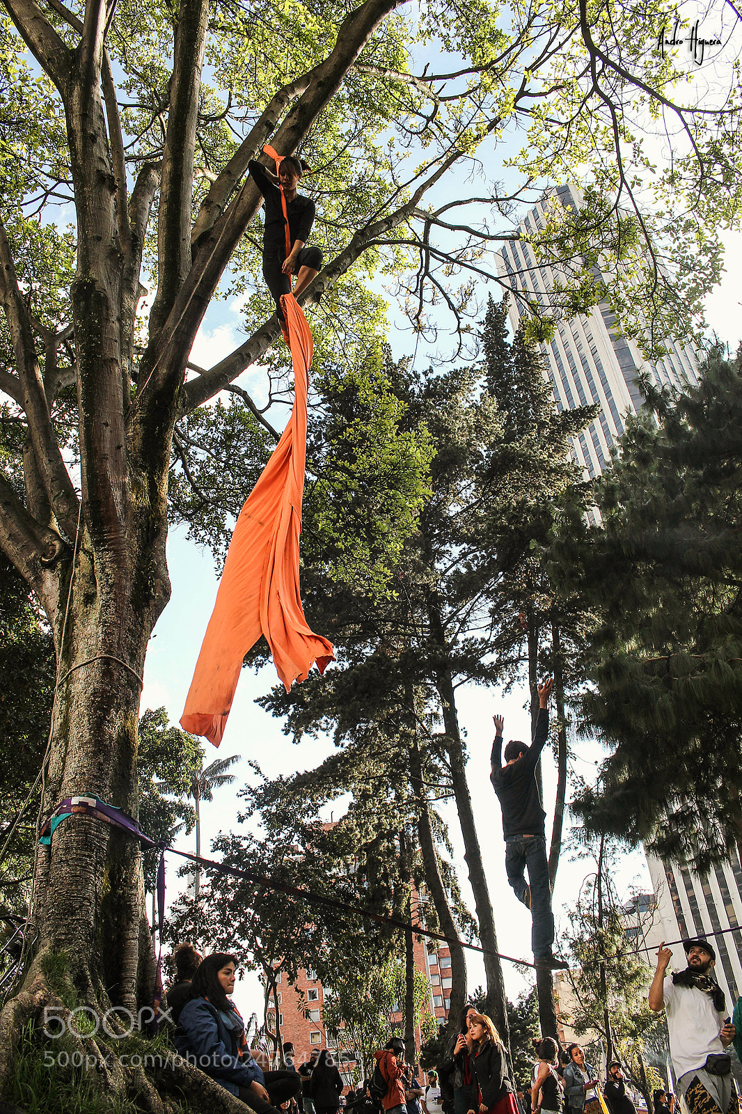 Canon EOS 600D (Rebel EOS T3i / EOS Kiss X5) sample photo. Rootbeat photography