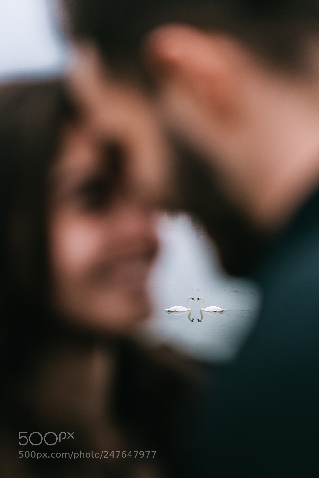 Nikon D800 sample photo. Love. photography