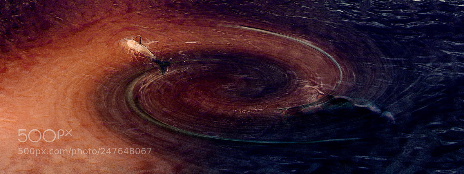 Nikon D7200 sample photo. Universe's frequency photography