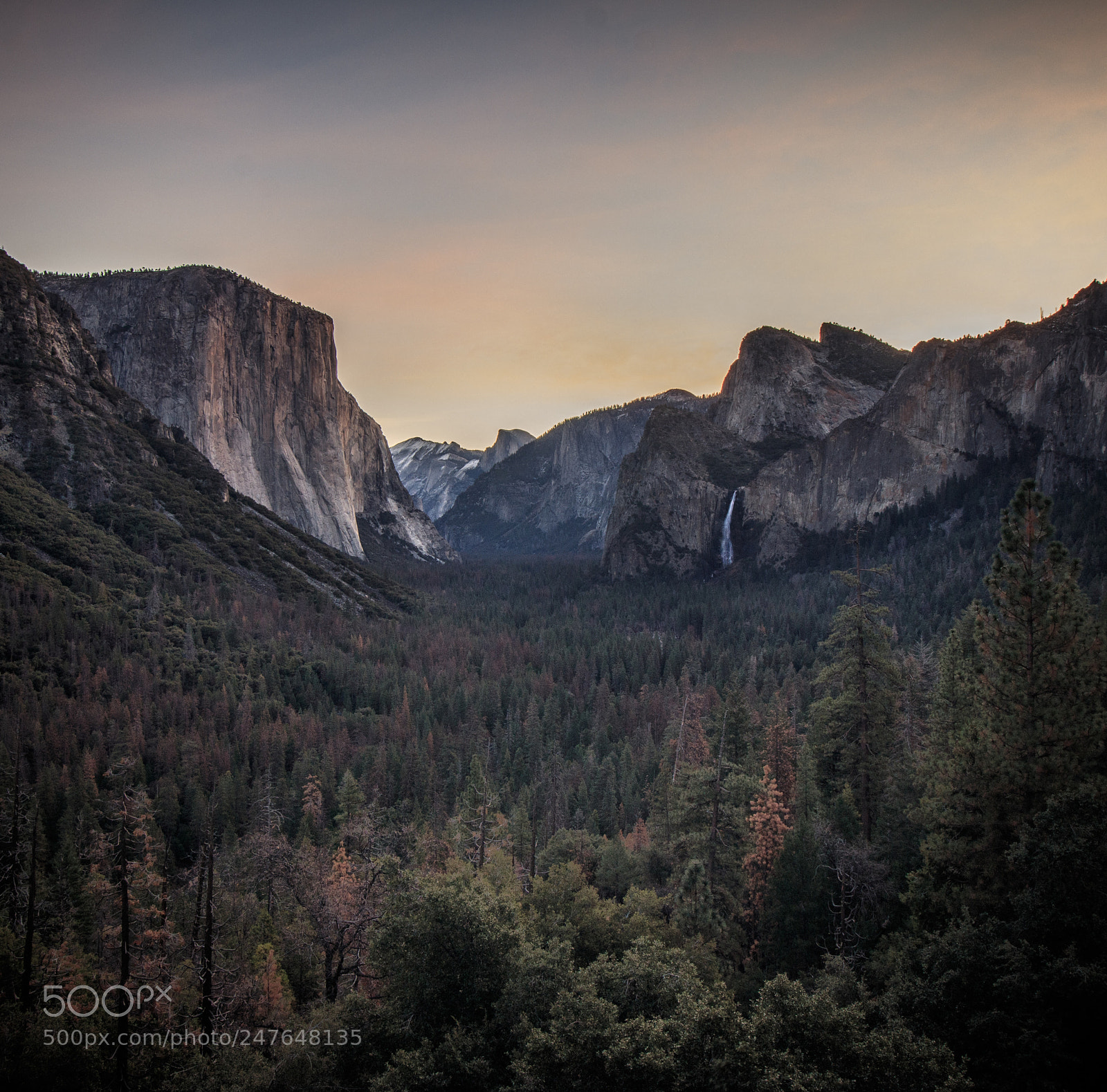 Canon EOS 80D sample photo. Yosemite national park photography