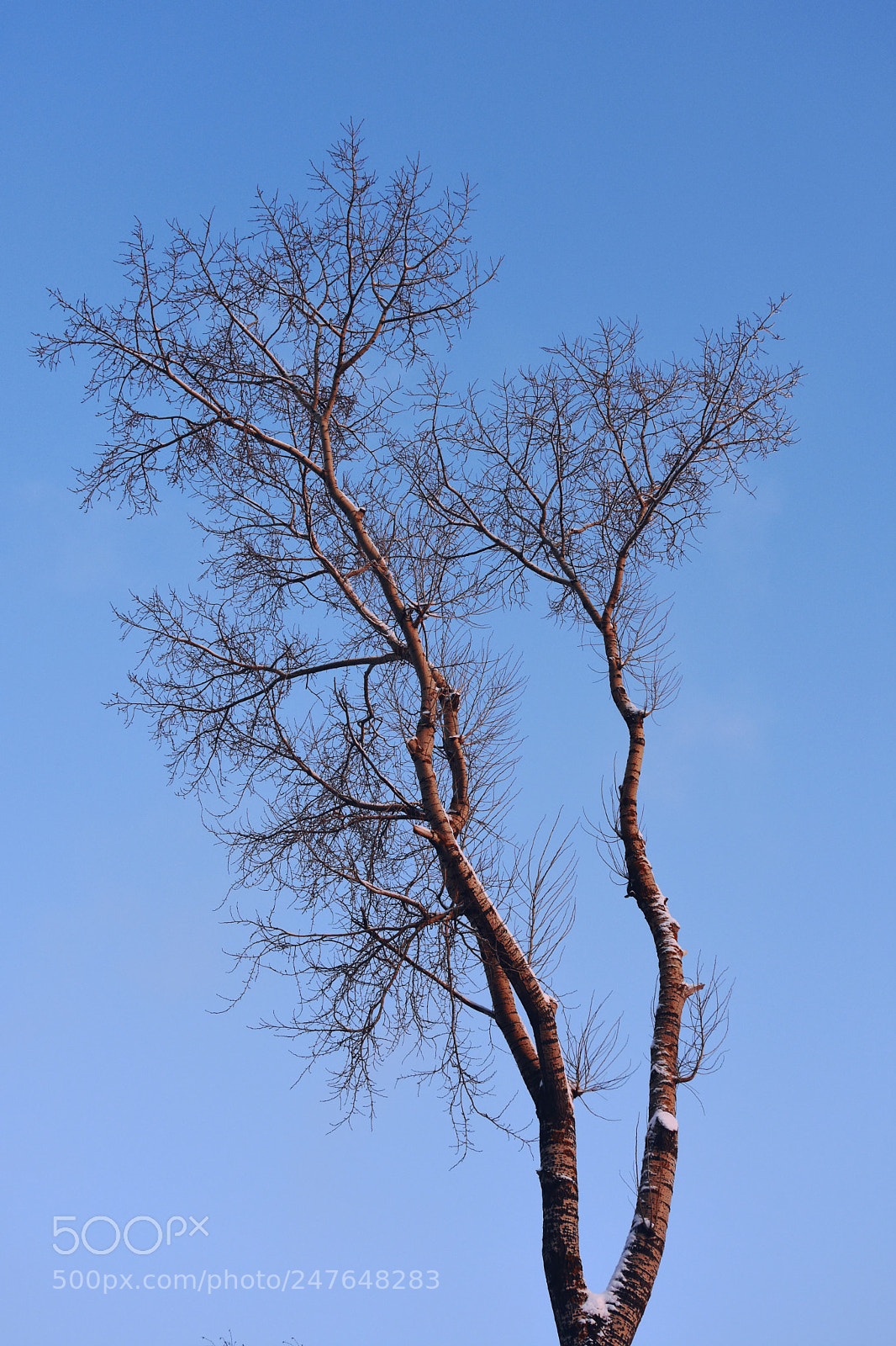 Nikon D7200 sample photo. One of them photography