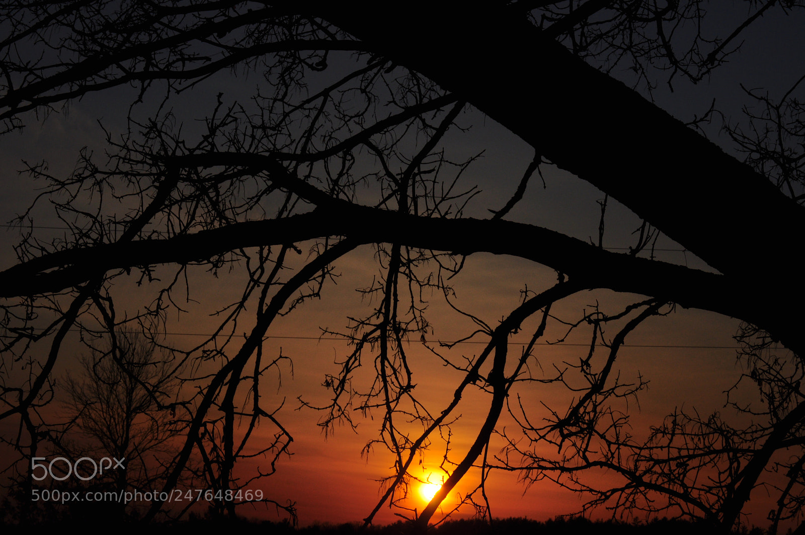 Nikon D5000 sample photo. Clinging on to the photography