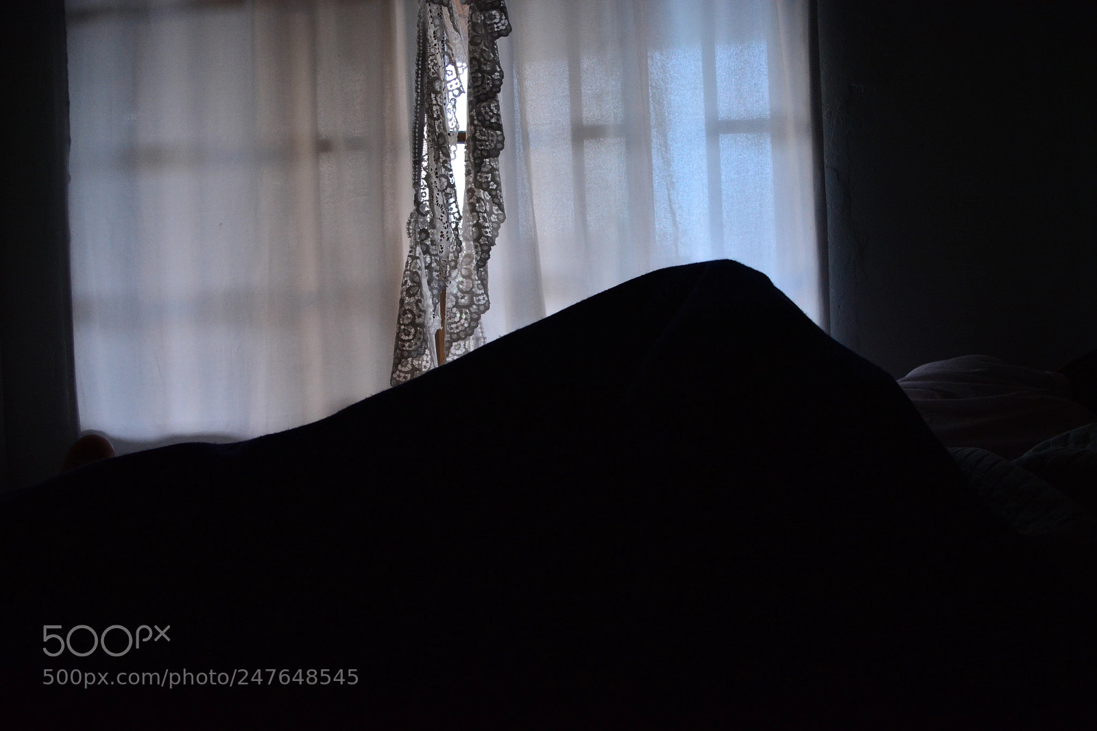 Nikon D5200 sample photo. You photography