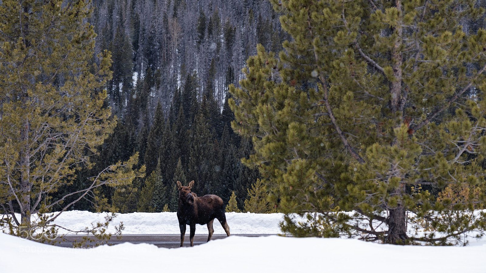 Sony a7R III sample photo. Winter road trip photography