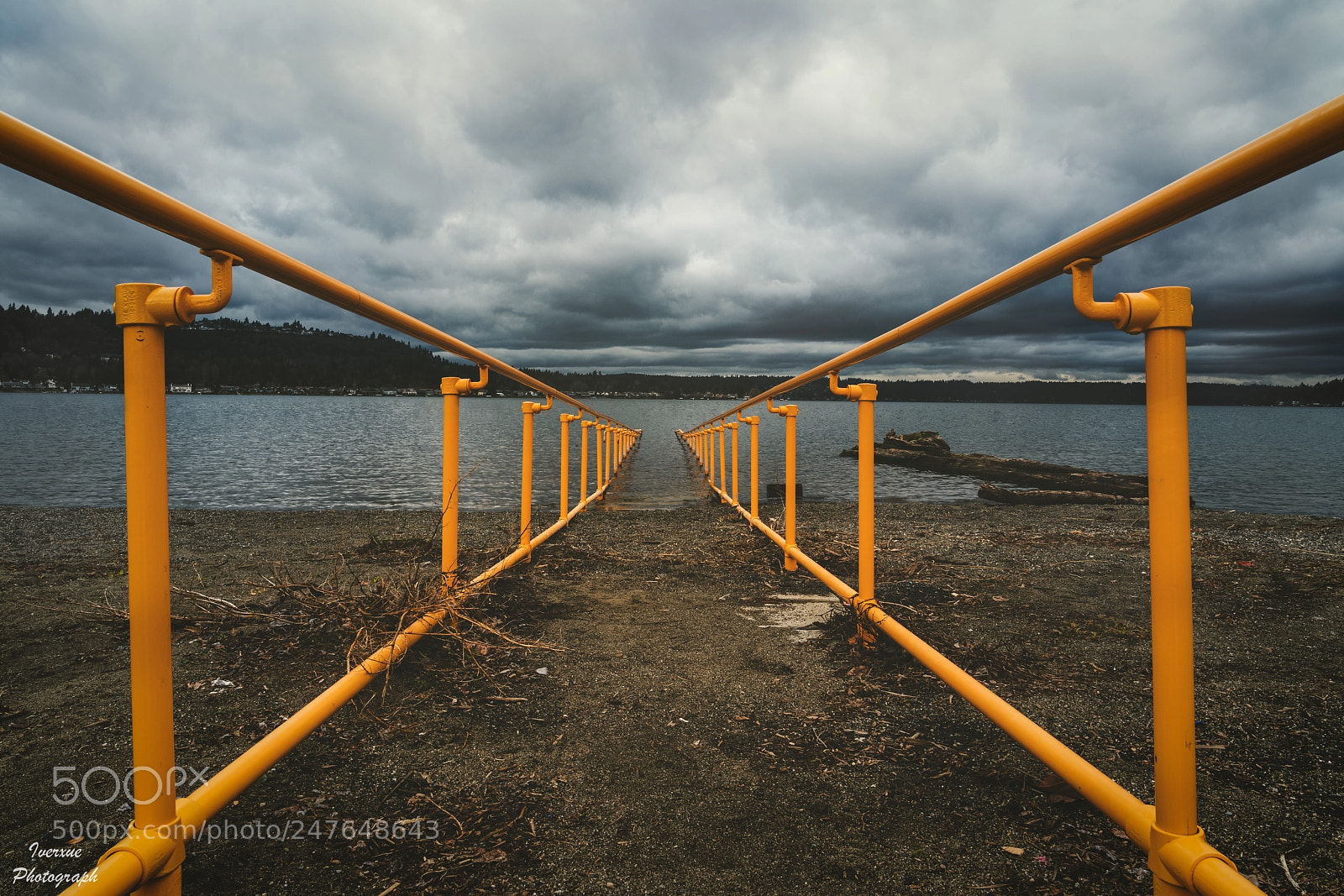Sony a7R II sample photo. Lake sammamish park photography