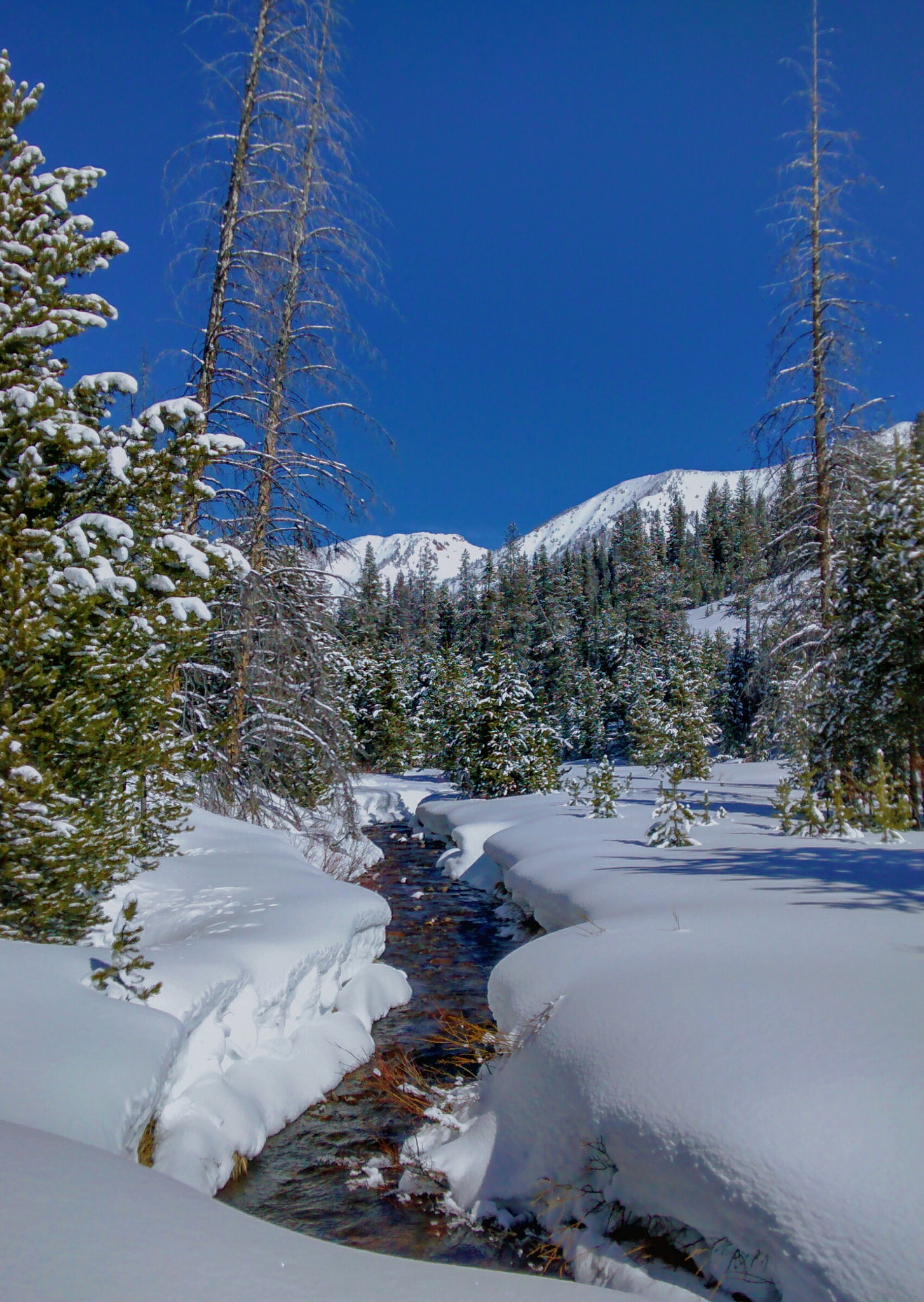Motorola Moto G (1st Gen) sample photo. Gladiator creek to galena lodge photography