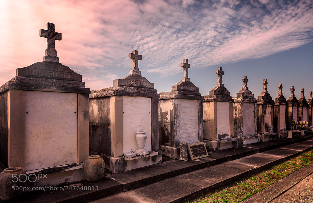 Nikon D810 sample photo. Residents' row photography