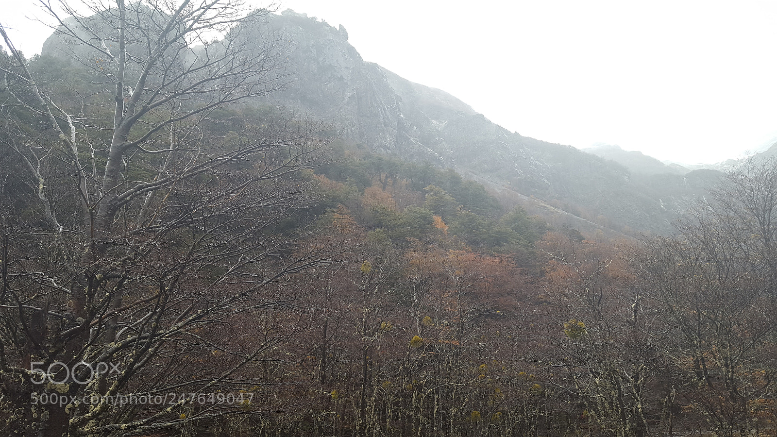 Samsung GALAXY S6 edge sample photo. 20170507_150941.jpg photography