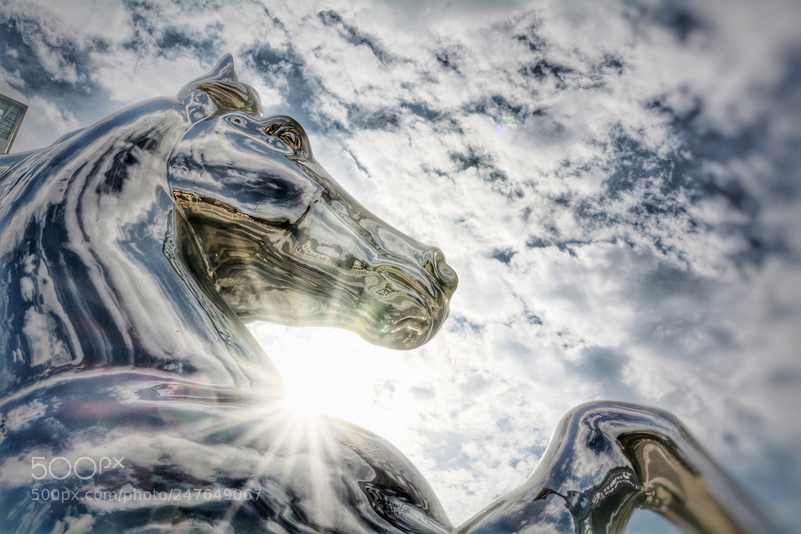 Nikon D7100 sample photo. 上马 photography