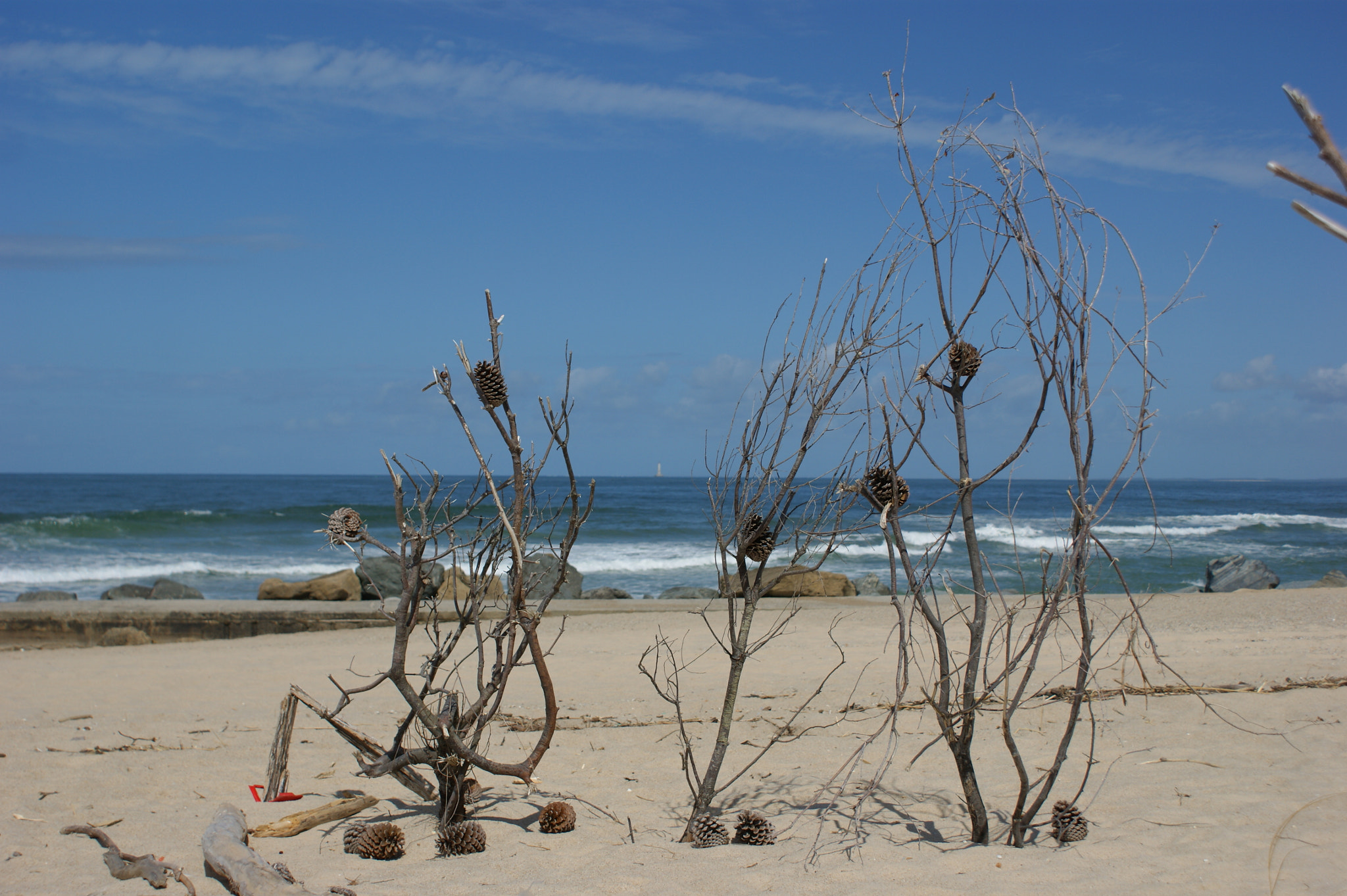 Sony DT 18-70mm F3.5-5.6 sample photo. Plage de soulac photography