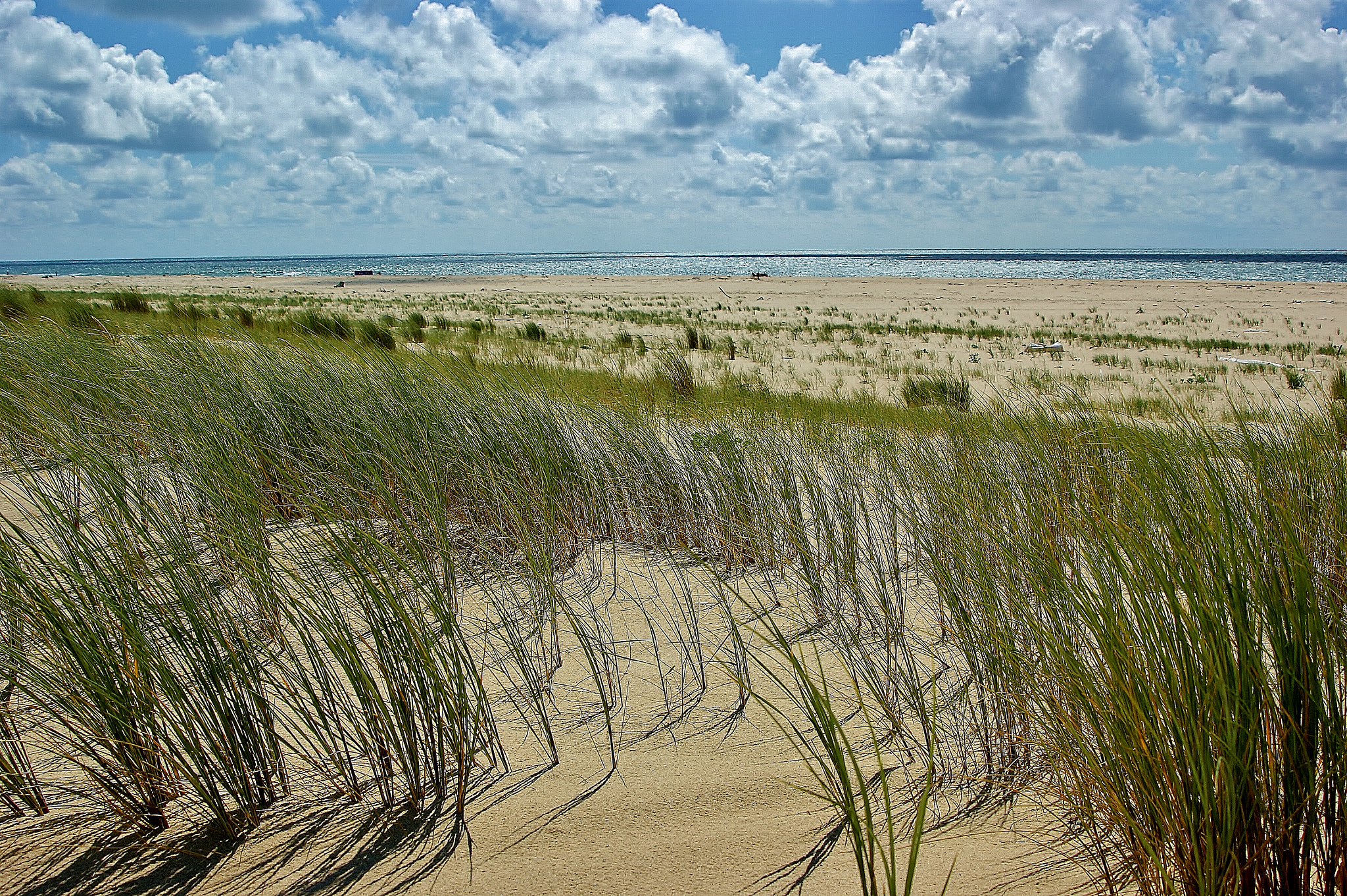 Minolta AF 28-105mm F3.5-4.5 [New] sample photo. Plage de l'estuaire de la gironde photography