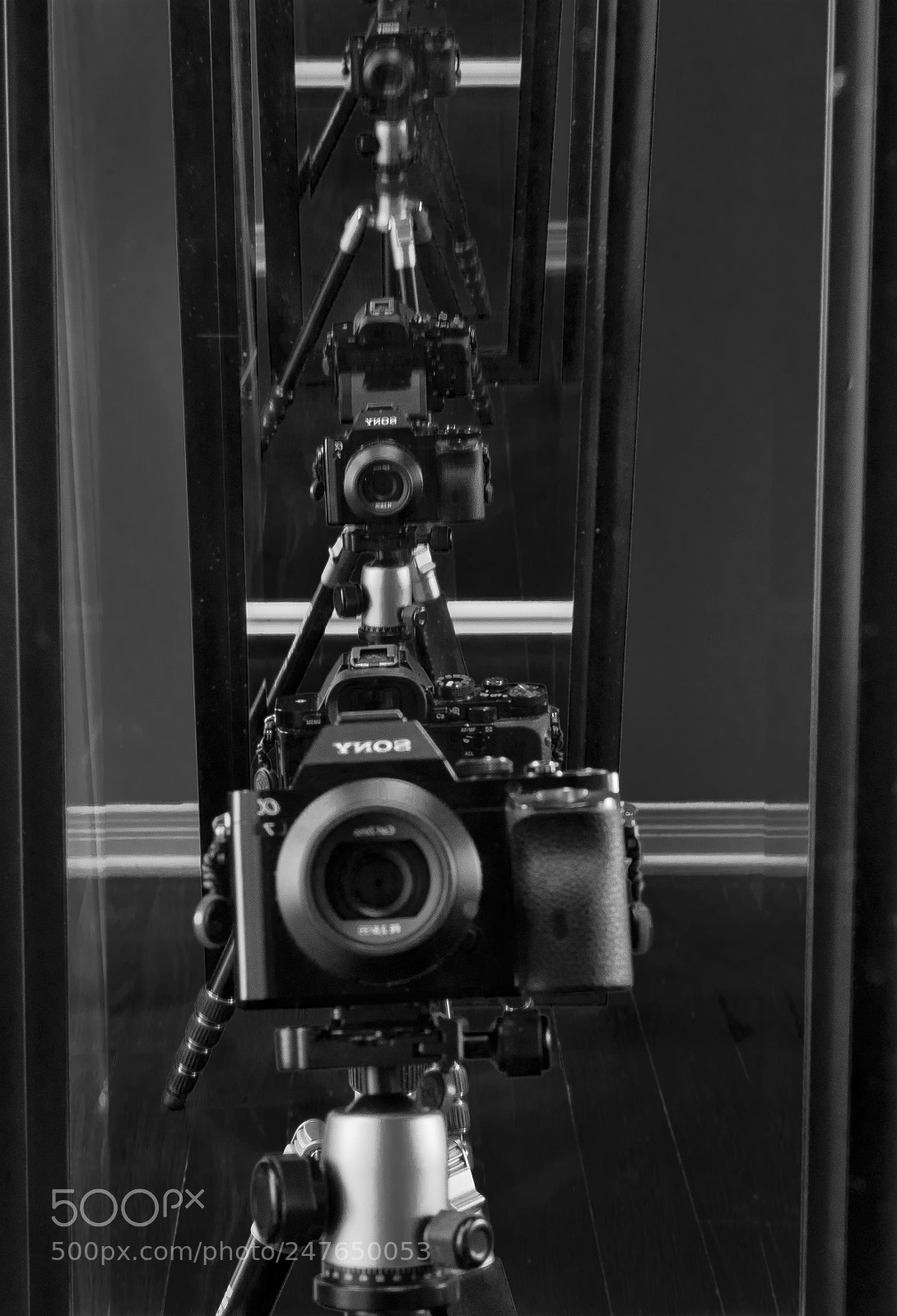 Sony a7 sample photo. Times five photography