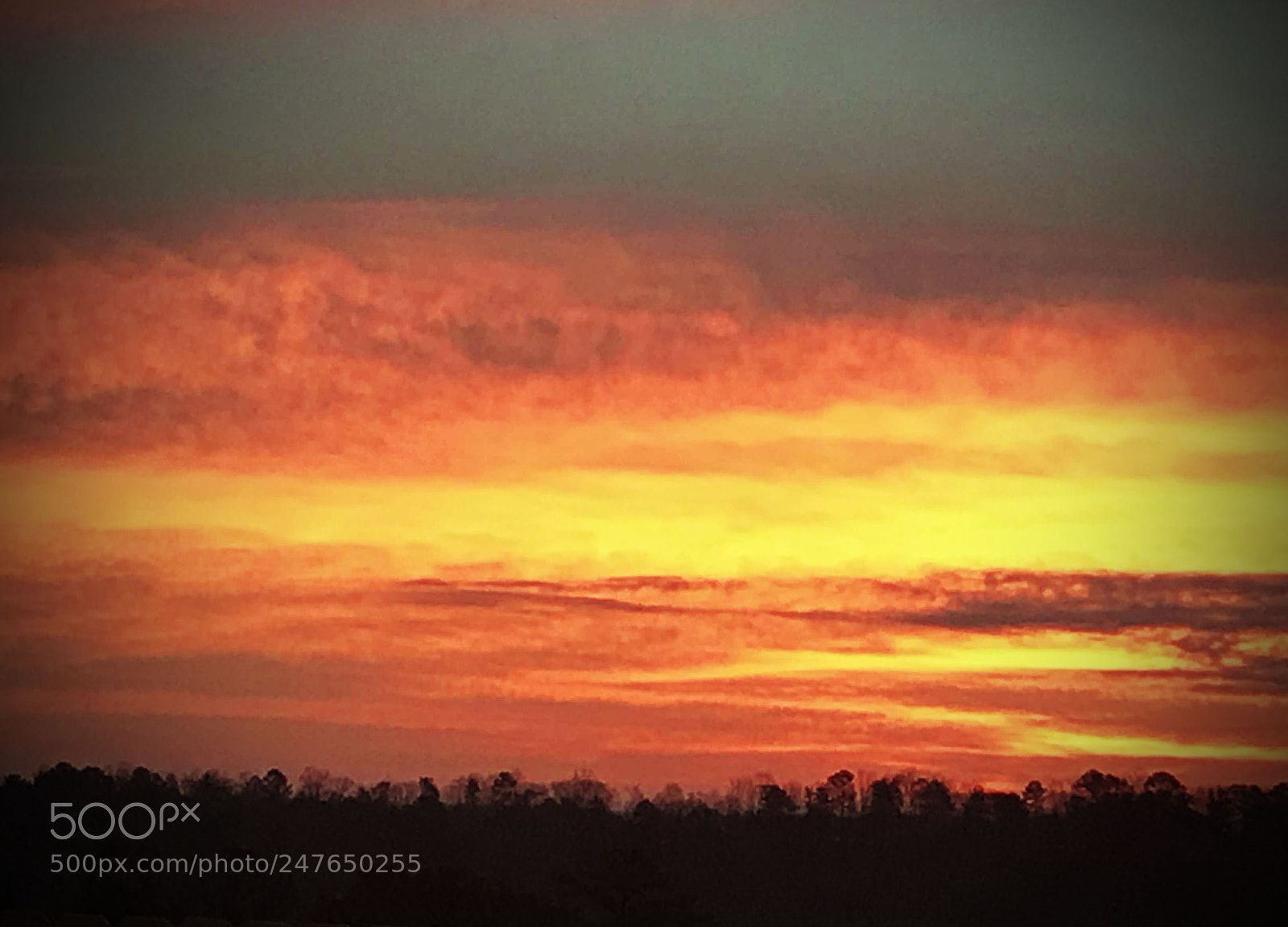Apple iPhone 7 sample photo. Backyard sunset photography