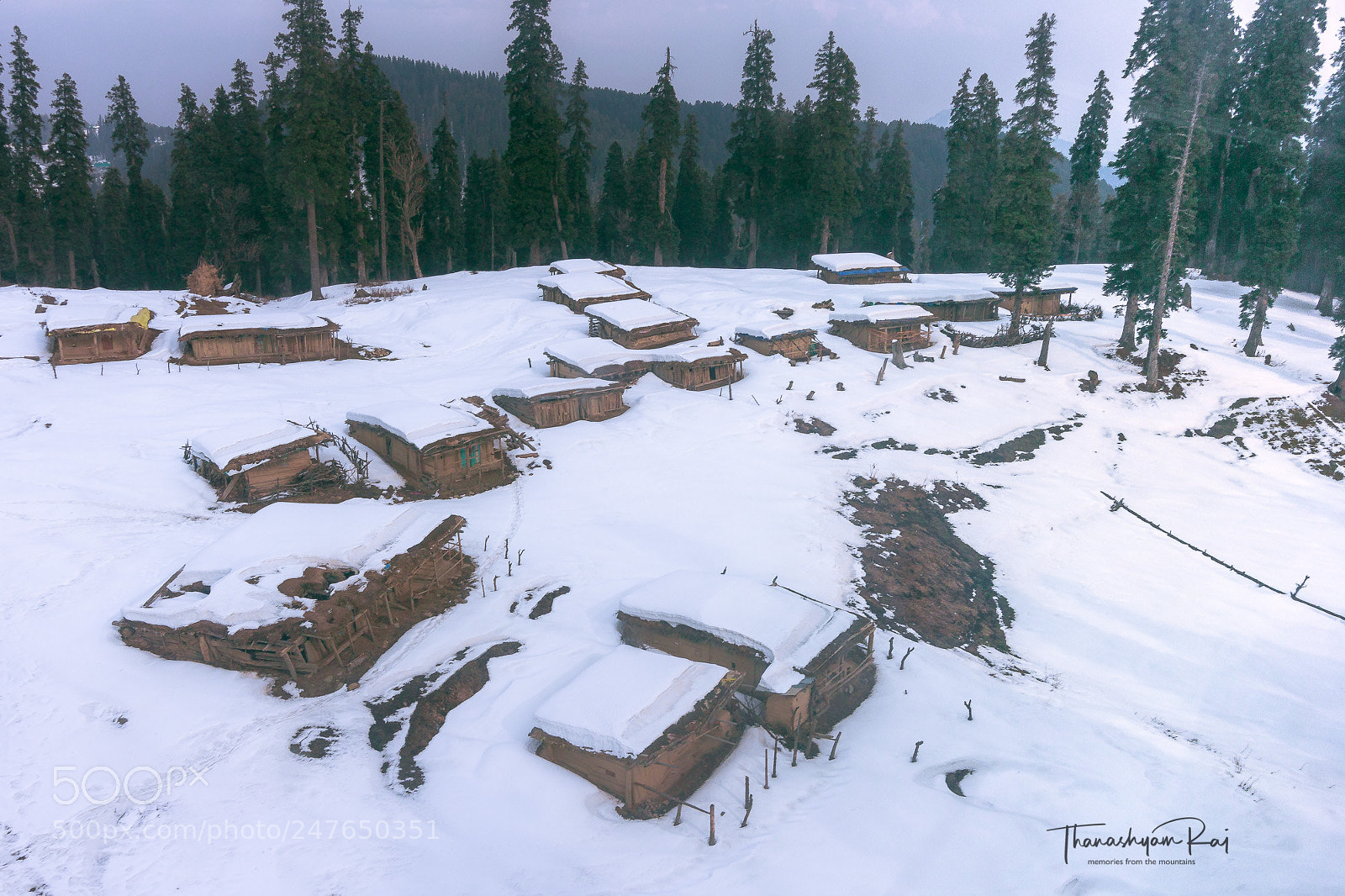 Canon EOS 60D sample photo. Snow clad gujjar shepherds photography