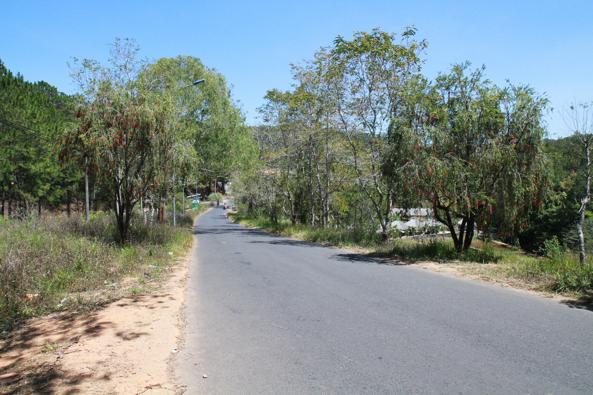 Canon EF-S 17-55mm F2.8 IS USM sample photo. The road is missing his wife photography