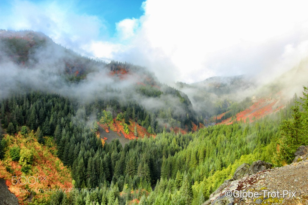 Canon EOS 600D (Rebel EOS T3i / EOS Kiss X5) sample photo. Fog and fall photography