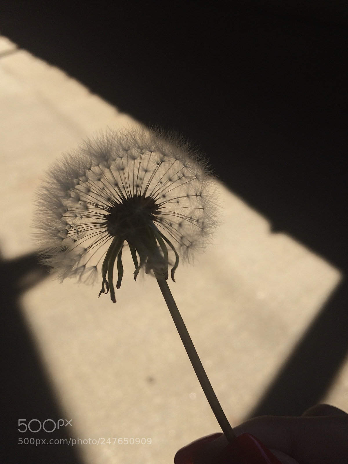 Apple iPhone 5s sample photo. Hay historias, que jamas photography