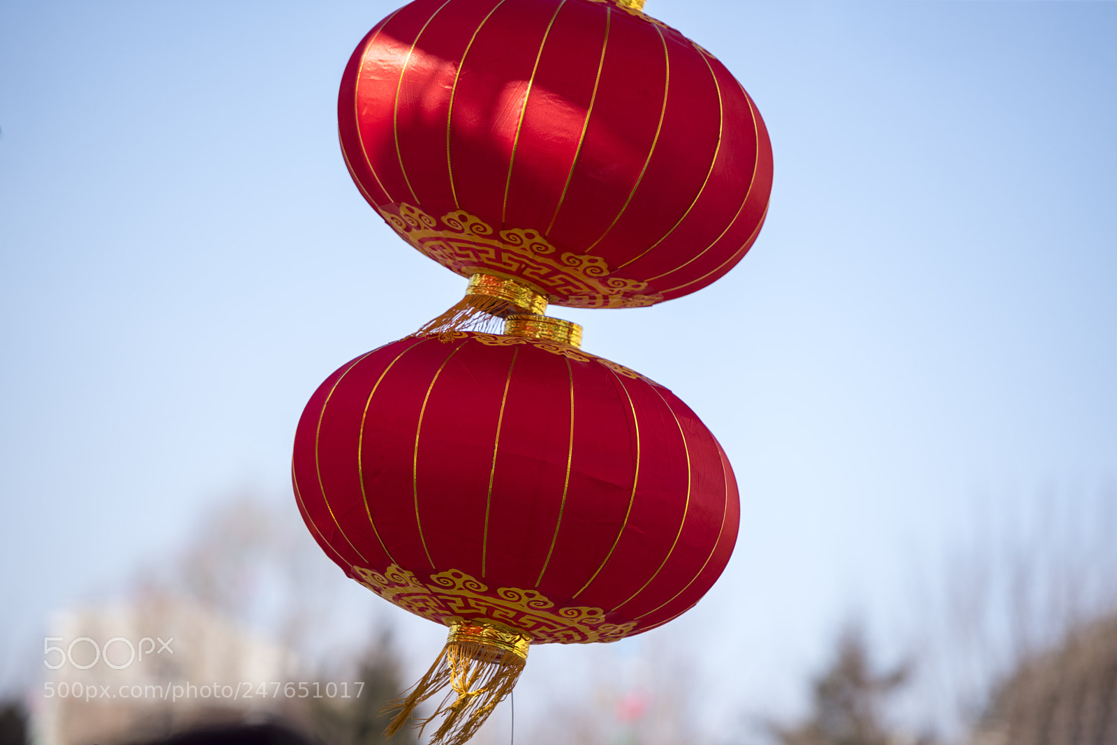 Nikon D810 sample photo. Untitled photography