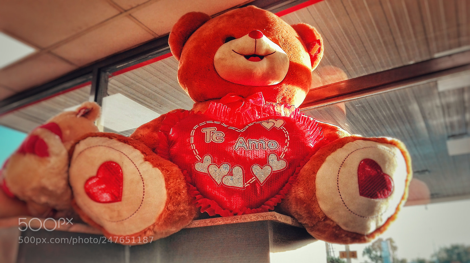 HUAWEI P8 Lite sample photo. For my love photography
