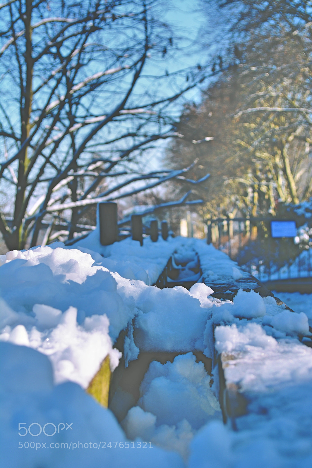 Nikon D5200 sample photo. Untitled photography