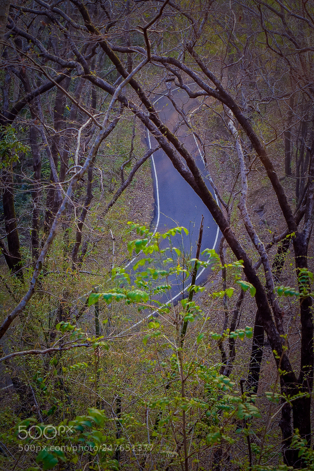 Nikon D7200 sample photo. Untitled photography