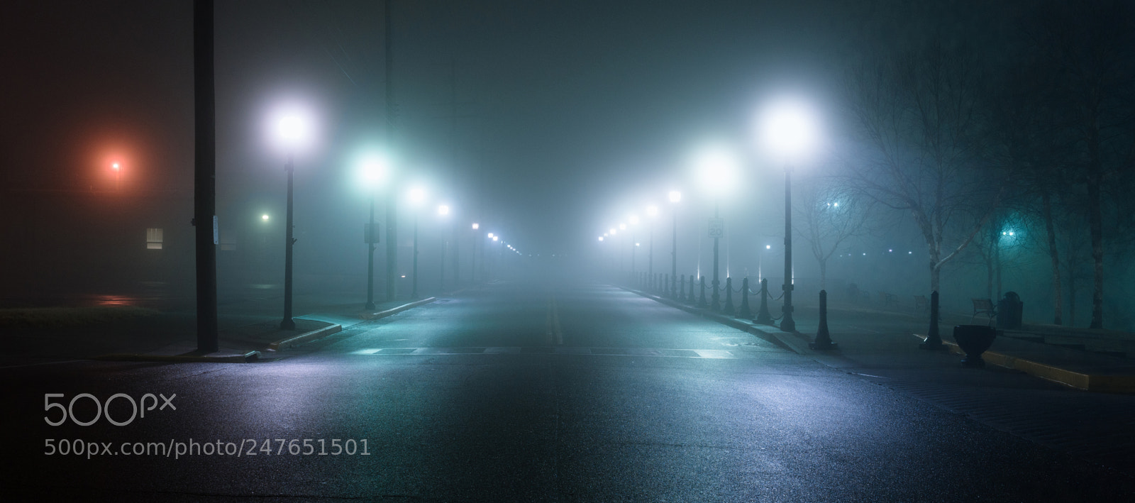 Sony a7R III sample photo. A foggy evening photography