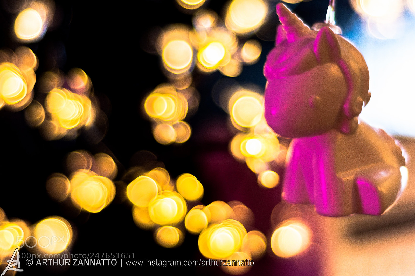 Nikon D7100 sample photo. Unicorn photography
