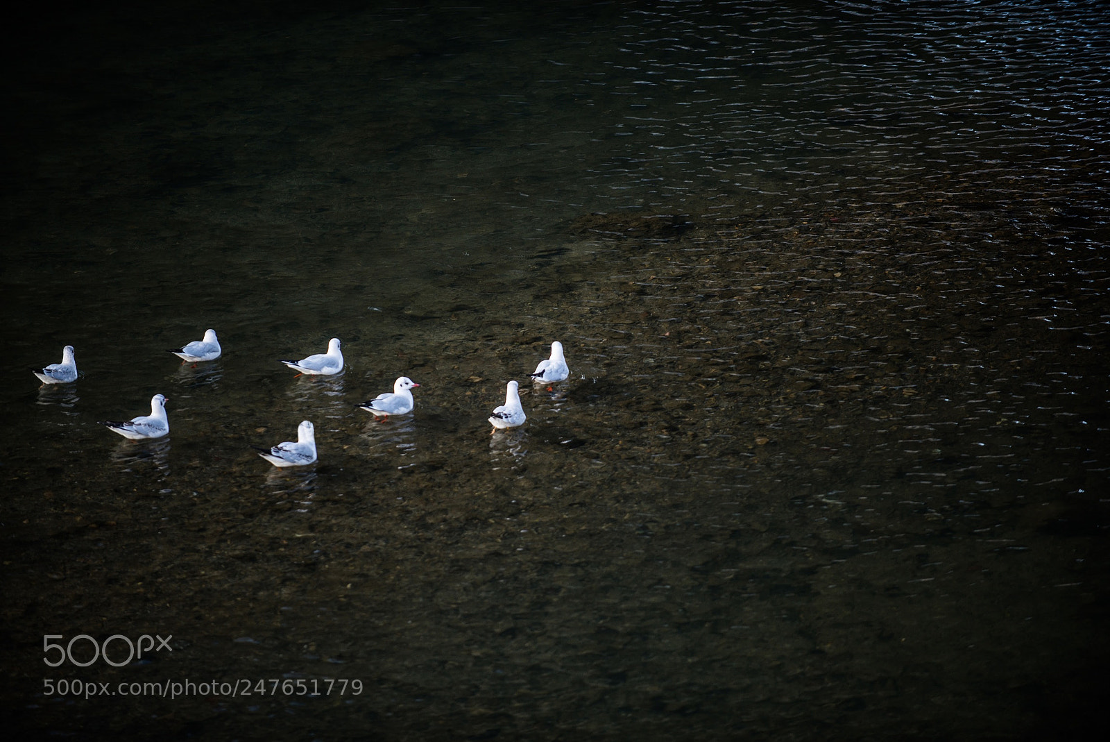 Nikon D800E sample photo. Quite & calm photography