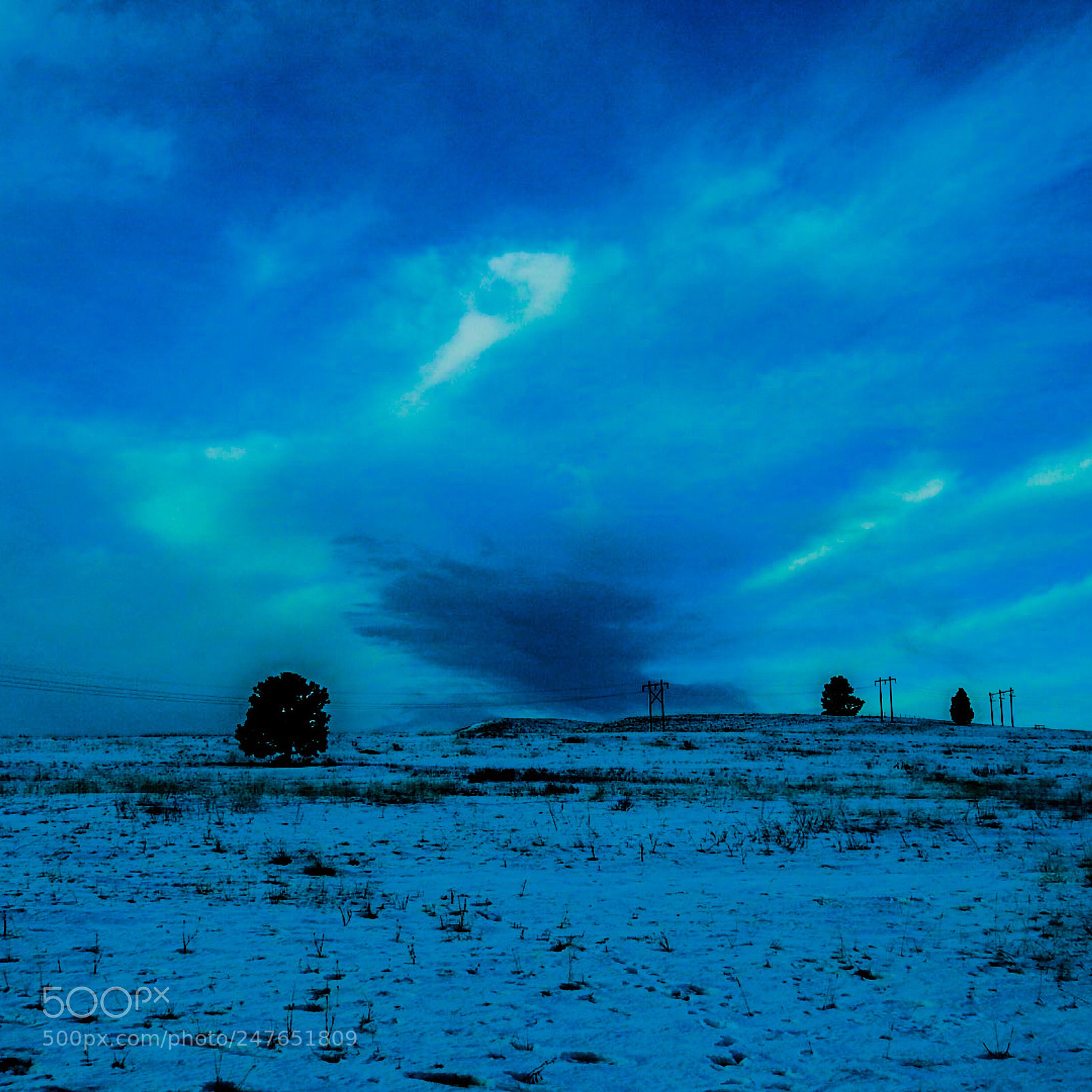Nikon Coolpix P900 sample photo. Shadowy solace photography