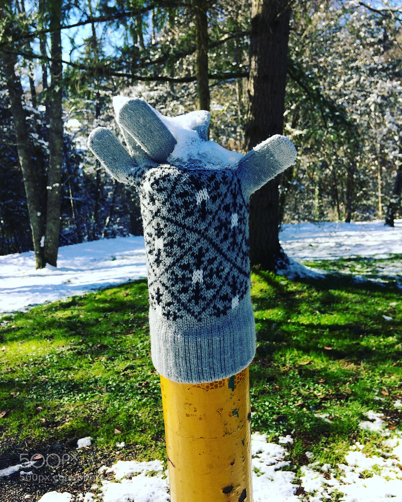Apple iPhone 5s sample photo. Mitten frozen photography