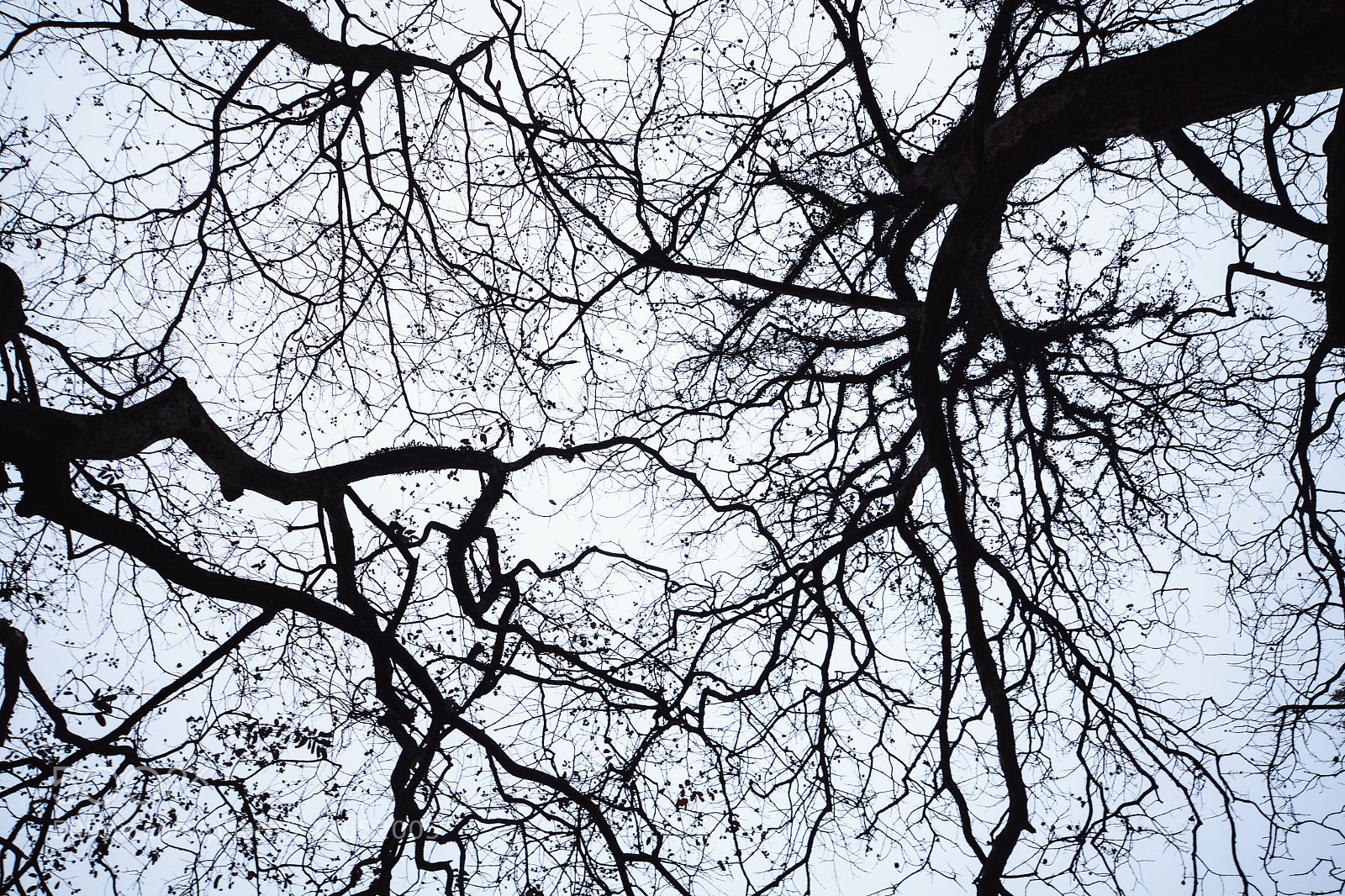 Nikon D7100 sample photo. Untitled photography