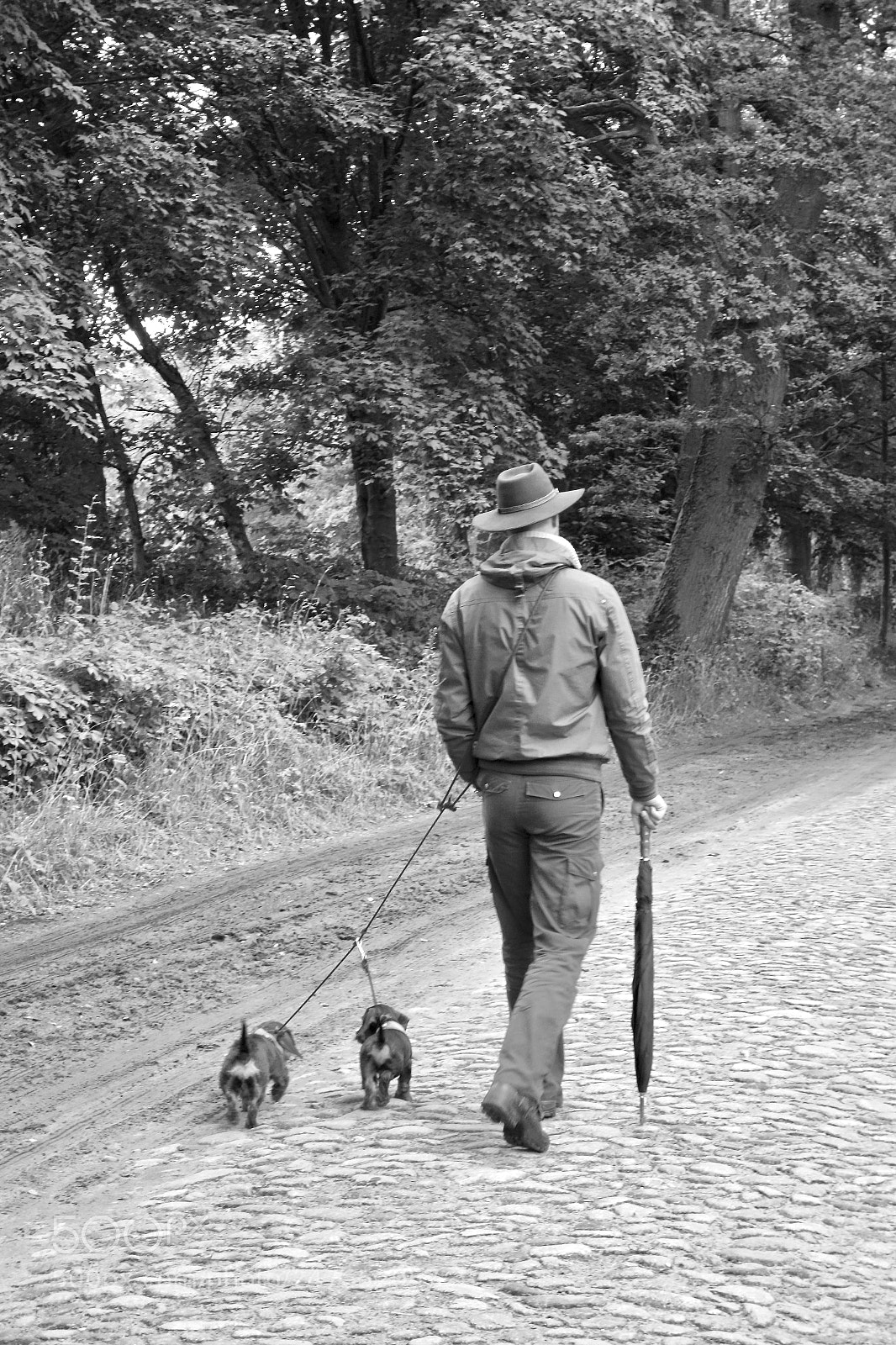 Sony Cyber-shot DSC-RX100 sample photo. 1man 2dogs photography