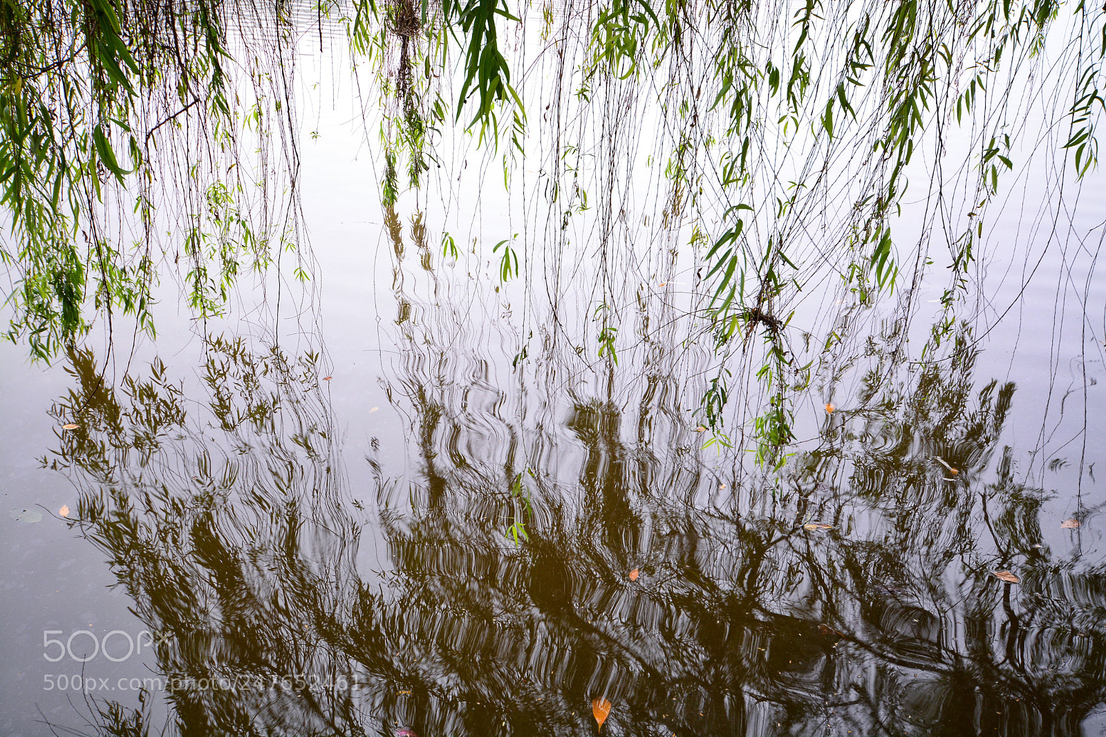 Nikon D7100 sample photo. Untitled photography