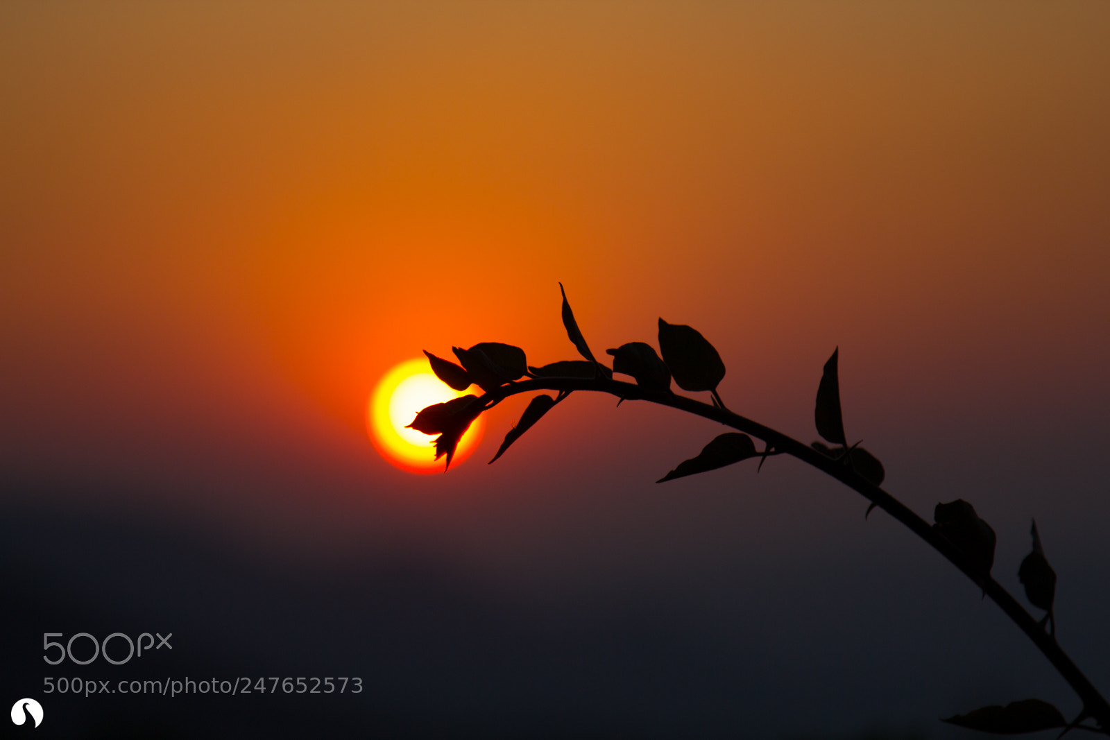 Canon EOS 60D sample photo. Nightfall photography