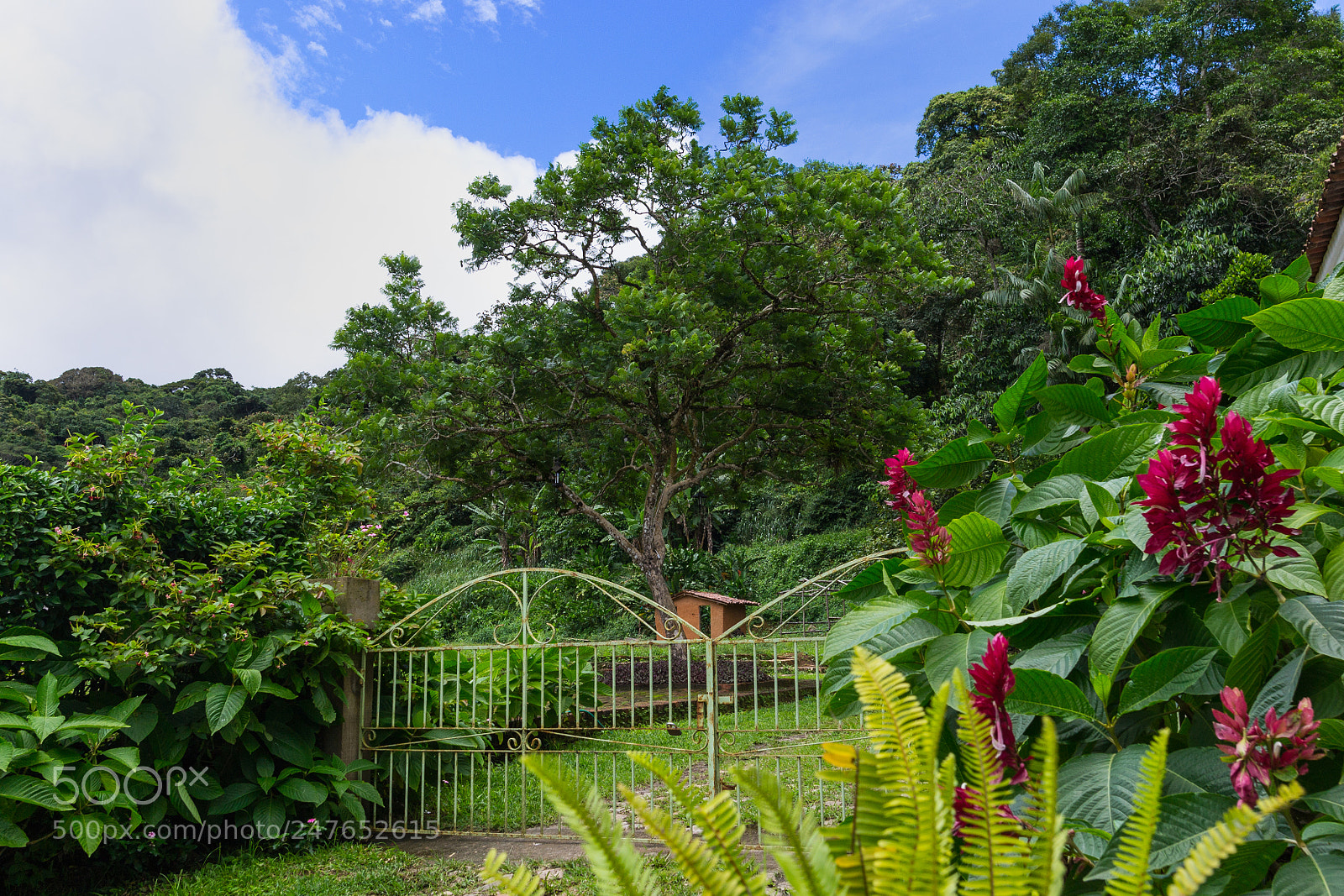 Nikon D3100 sample photo. S tio s o photography