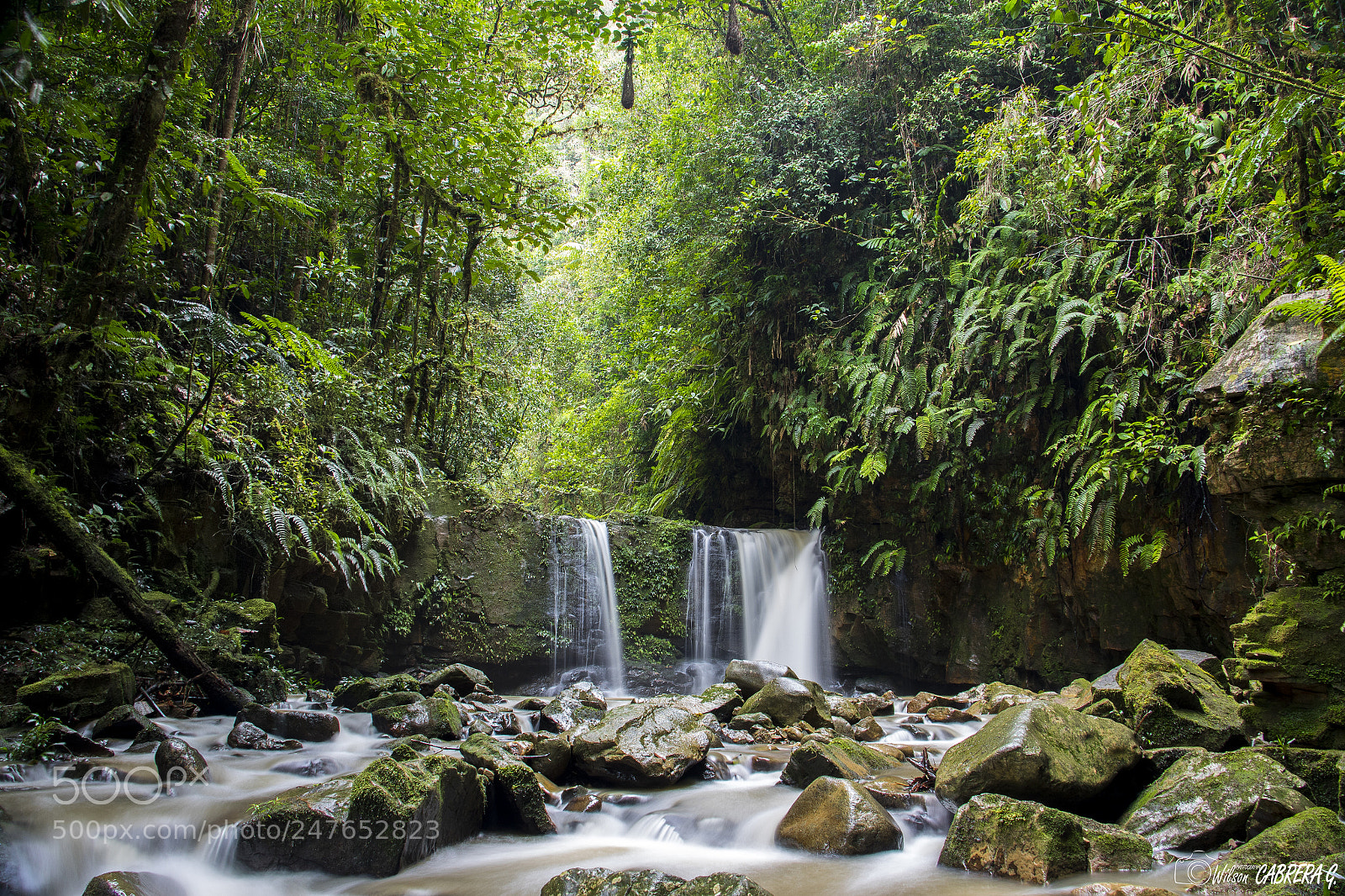 Canon EOS 7D Mark II sample photo. Belleza natural photography