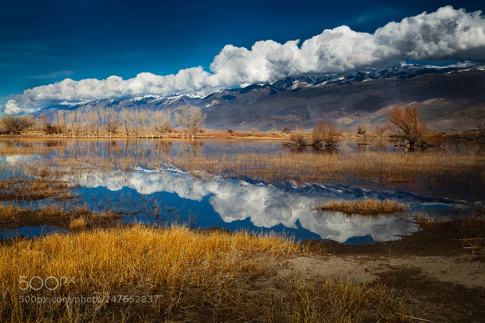 Canon EOS 5D Mark II sample photo. Owens valley reflection photography
