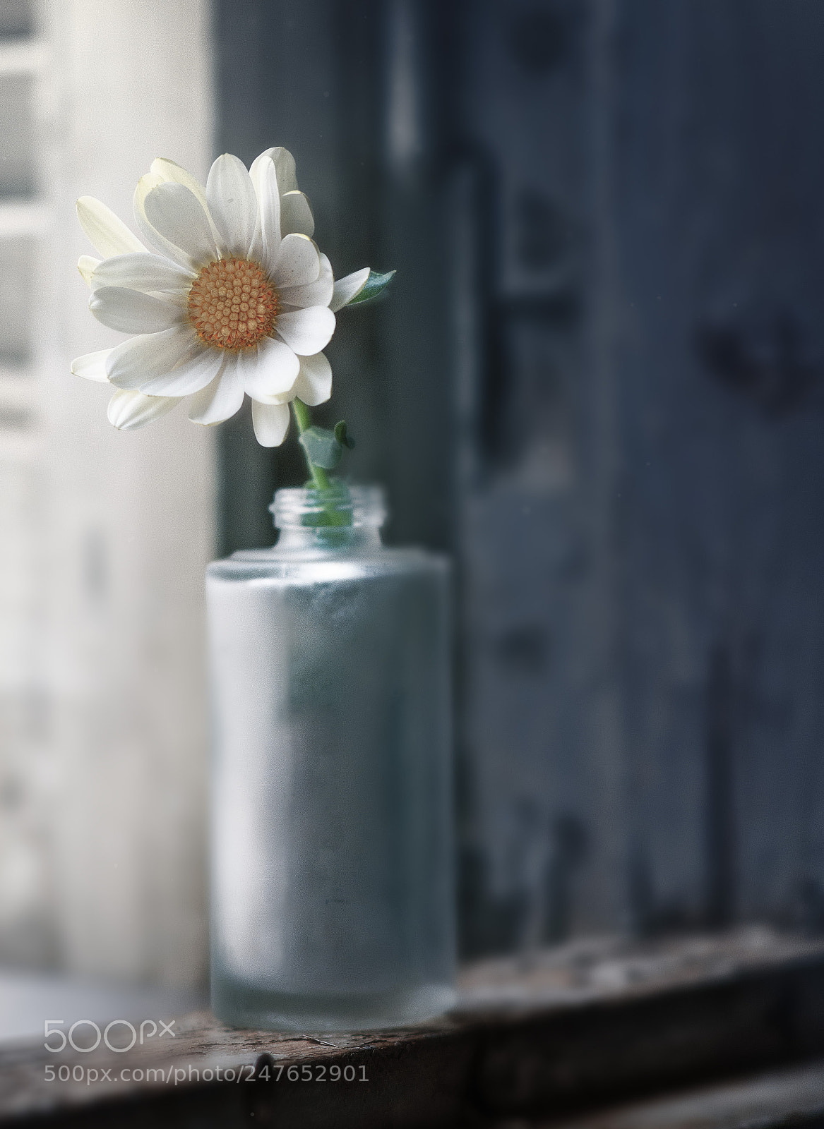 Fujifilm X-A1 sample photo. Db photography