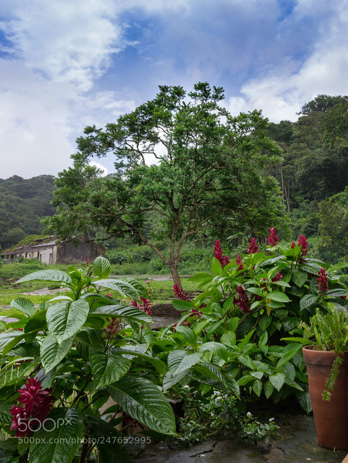 Nikon D3100 sample photo. S tio s o photography