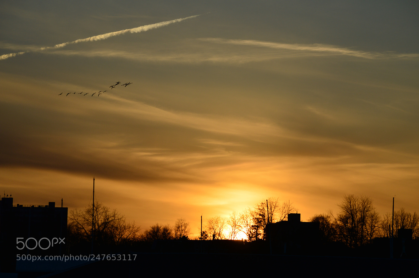 Nikon D3200 sample photo. Golden hour photography