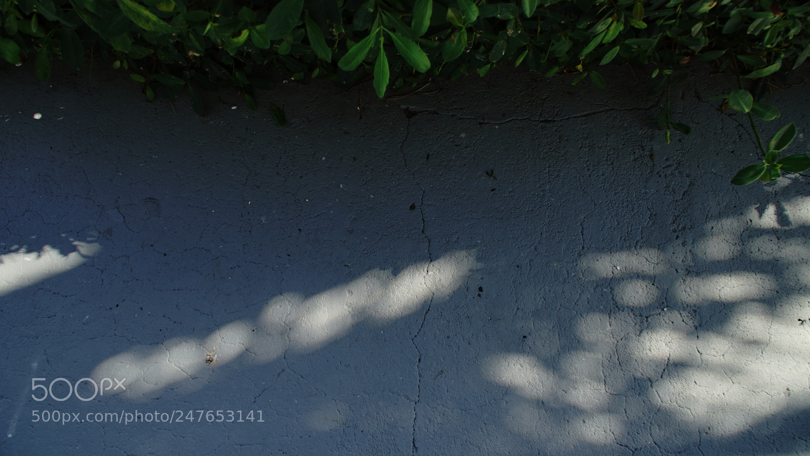 Sony a7R II sample photo. Shadow dancer photography