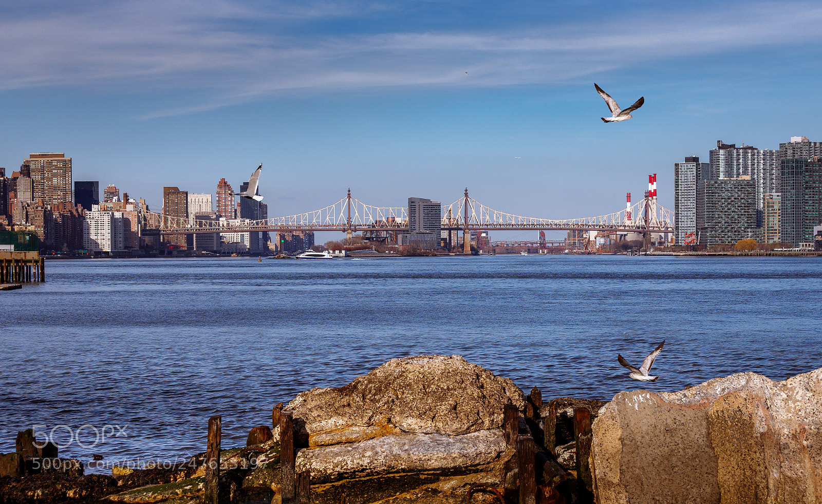 Canon EOS 6D Mark II sample photo. Ed koch queensboro bridge photography