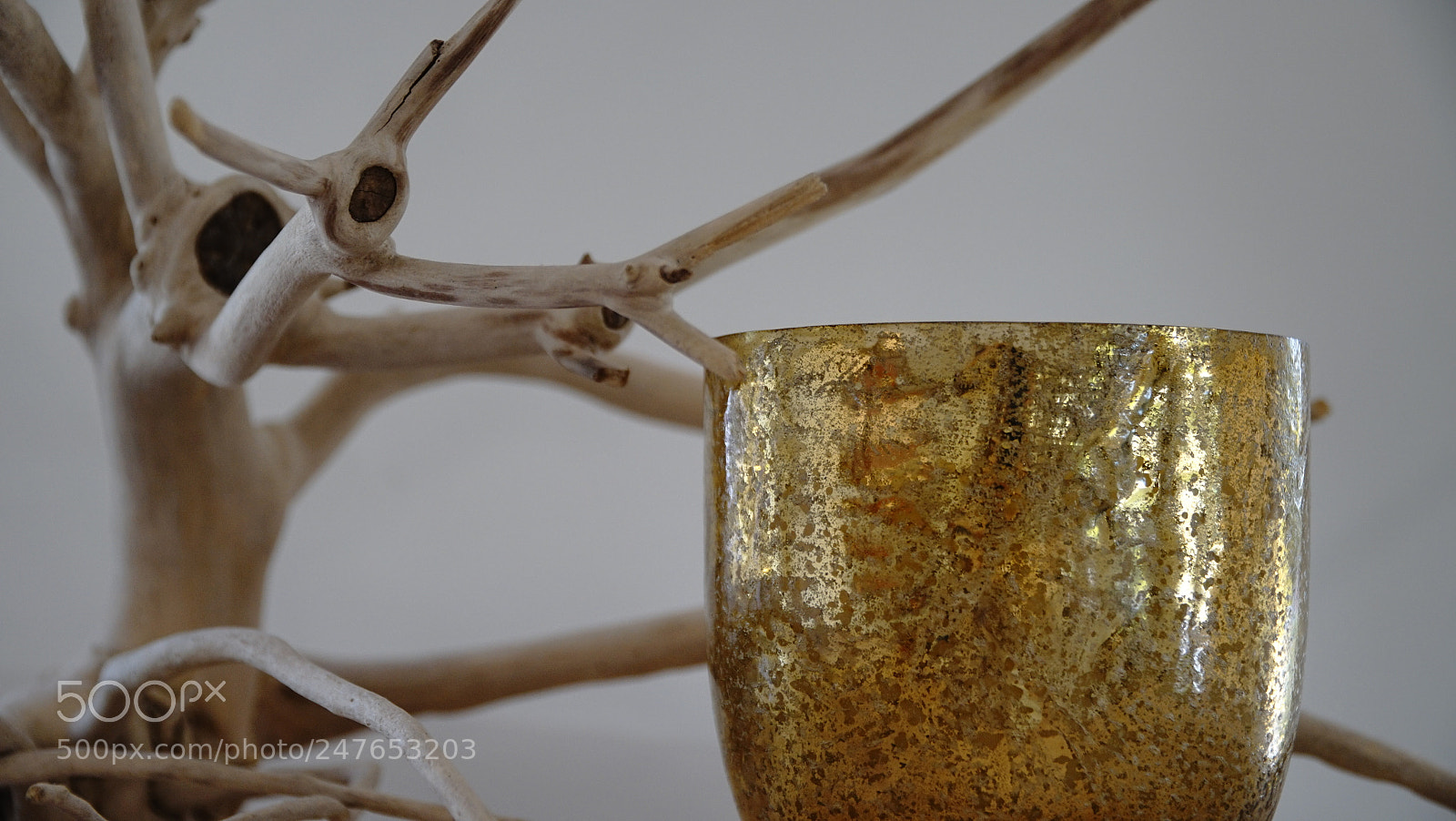 Sony a7R II sample photo. Elements photography