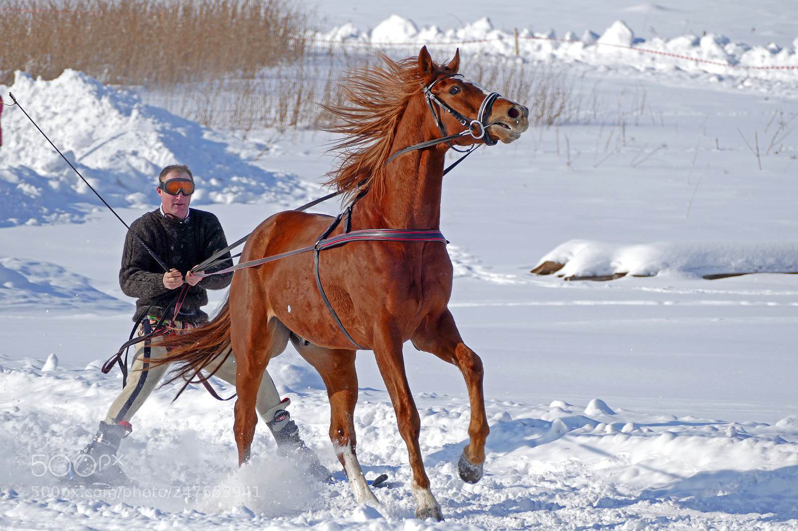 Panasonic Lumix DMC-FZ1000 sample photo. Winter running photography