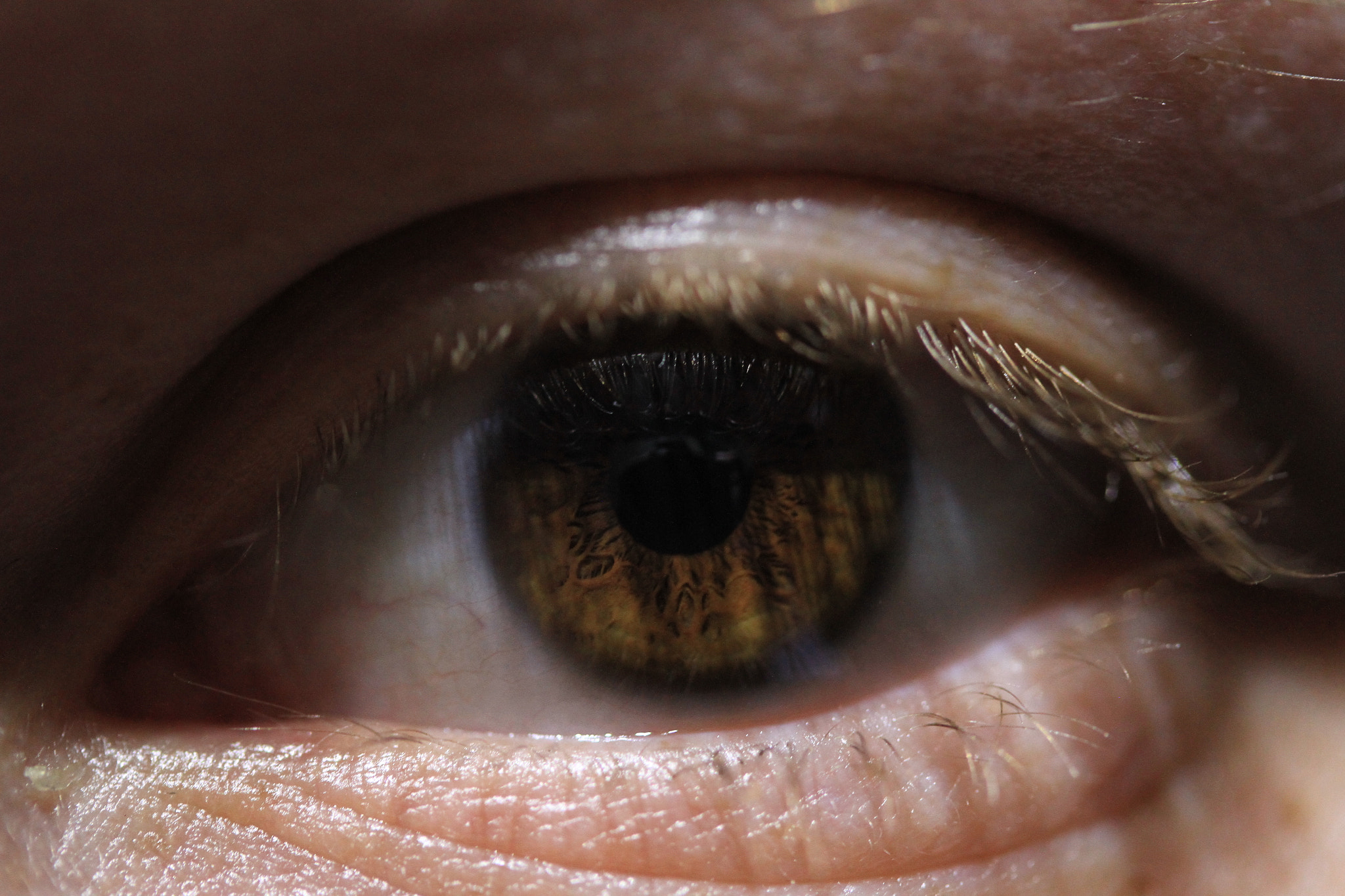 Canon EF-S 60mm F2.8 Macro USM sample photo. Eye photography